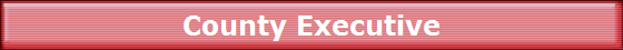 County Executive